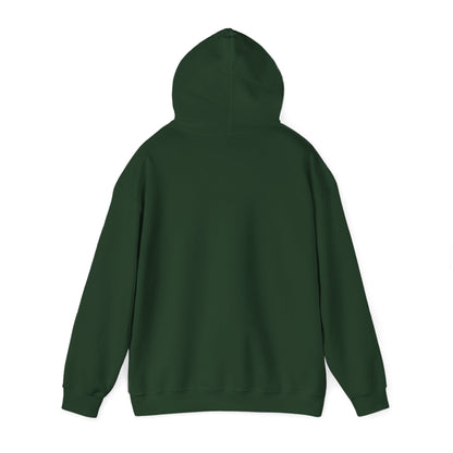 Shero My Hero Unisex Hoodie