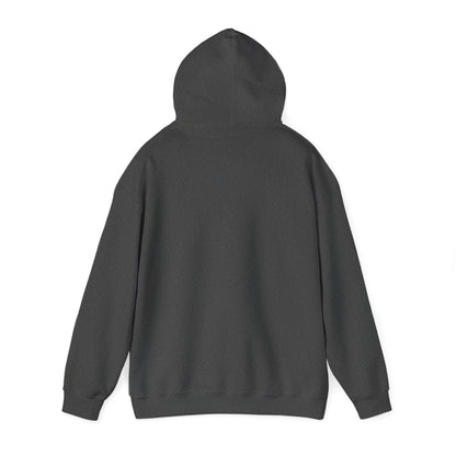 Shero My Hero Unisex Hoodie
