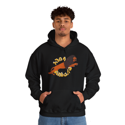 Anbessa Unisex Heavy Blend Hoodie