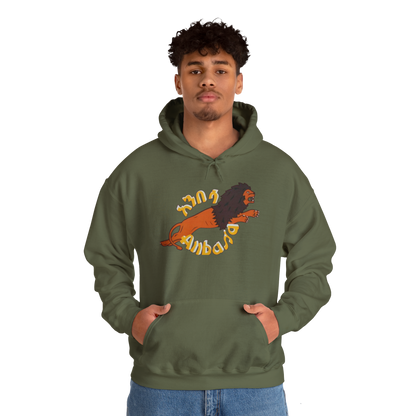 Anbessa Unisex Heavy Blend Hoodie